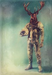 Moose in a Space suit Meme Template