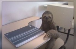 Sloth School Meme Template