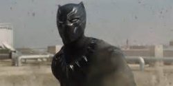 Black Panther i dont care Meme Template