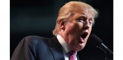 Trump nation Meme Template