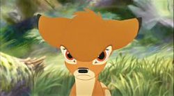 Bambi Meme Template