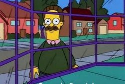 Ned Flanders Meme Template