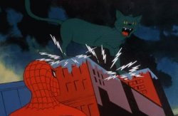 Spiderman hates cats Meme Template