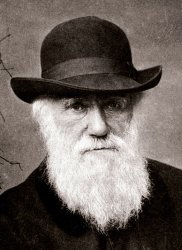 Darwin Meme Template