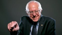 Bernie Pointing Meme Template