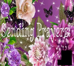 Sending prayers butterflys Meme Template