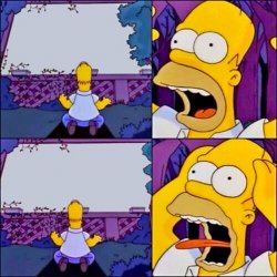 Homer With White Signs Template Meme Template