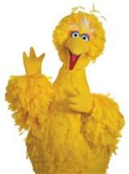 Big bird Meme Template