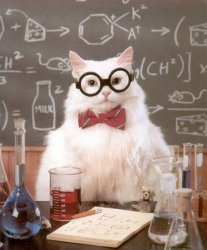 Science Cat Physics Meme Template