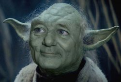 Yoda Bill Murray Meme Template
