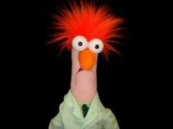 Beaker Meme Template