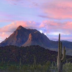 arizona mountian Meme Template