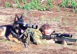 Dog spotter on sniper team Meme Template