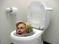 Flush Hillary Meme Template