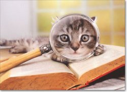 cat magnifying glass Meme Template