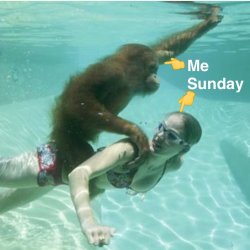 Sunday Funday Meme Template