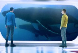 Spock kirk and whales Meme Template