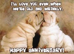 Anniversary Meme Template