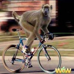 Monkey birthday bike  Meme Template