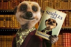 Simples Sergei Meme Template