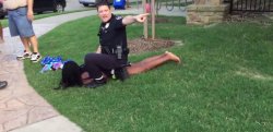 racist cops pool party hogtied gorilla zoo Meme Template