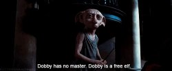 Dobby has no Master Meme Template