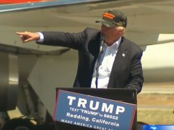 Donald Trump Pointing Meme Template