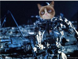 grump cat terminator Meme Template