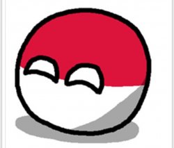 Polandball happy face  Meme Template