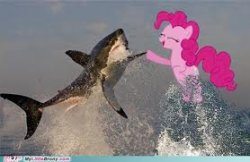 Pinkie pie shark Meme Template
