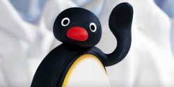 pingu Meme Template