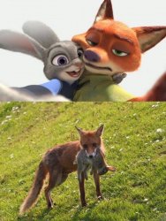 zootopia - fantasy vs irl Meme Template