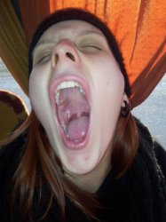 Plumpish Meme Template