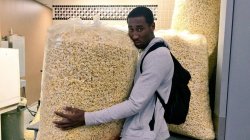 Giant Bag of Popcorn Meme Template