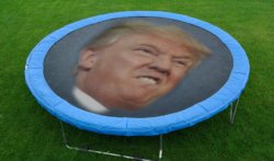 Trumpoline Meme Template