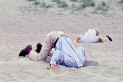 Hillary supporters burying their head in the sand Meme Template