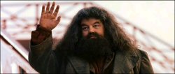 Hagrid_cheeriofelicia Meme Template