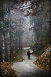 Man Walking Alone In woods Meme Template