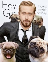 Ryan Gosling feminist lapdog Meme Template