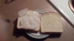 Ice cubes on bread Meme Template