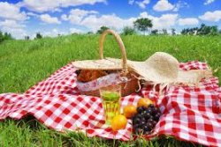 picnic Meme Template