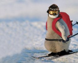 Skiing Penguin Meme Template
