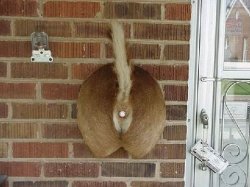 Redneck Doorbell Meme Template
