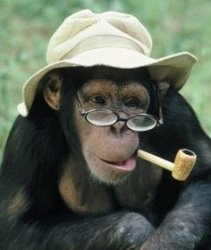 hat glasses chimp Meme Template