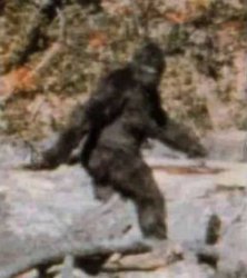 bigfoot Meme Template