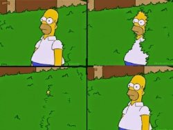 Homer in bush out Meme Template