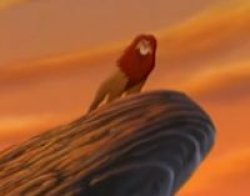 Angrysimba Meme Template