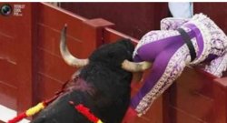 Bullfighter  Meme Template