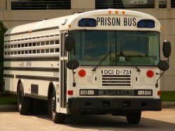 Prison Bus Meme Template