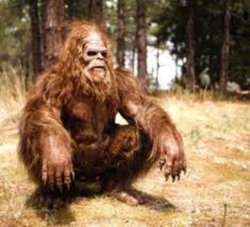 Chillin' Bigfoot Meme Template